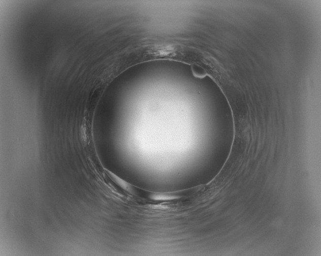 X0000070341442200606091014