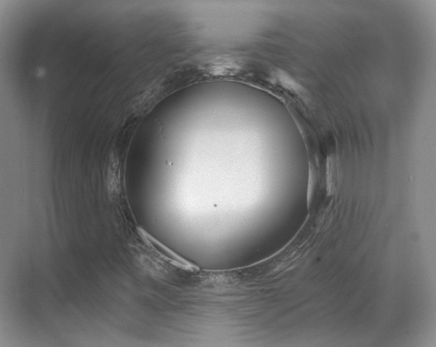 X0000070341443200606091014