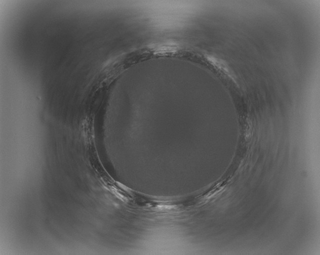 X0000070341445200606091014