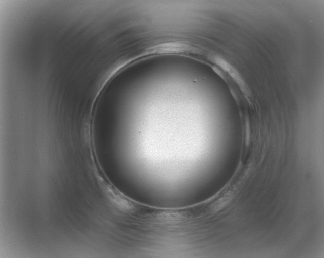 X0000070341473200606091013