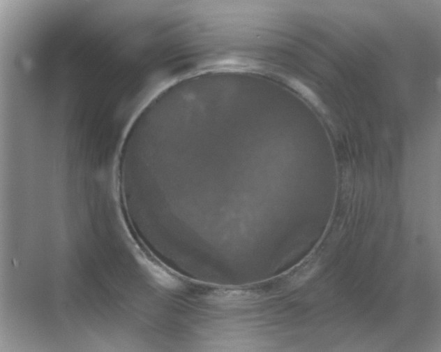 X0000070341474200606091013