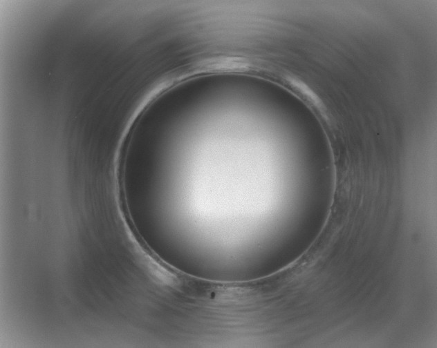 X0000070341475200606091013