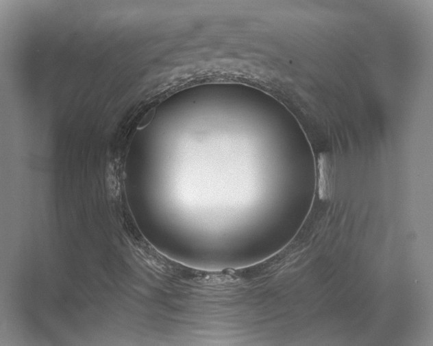 X0000070341491200606091012