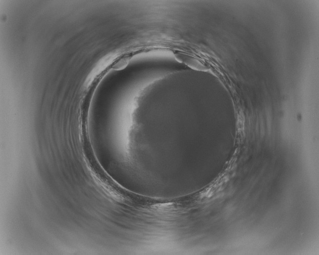 X0000070340054200606121151
