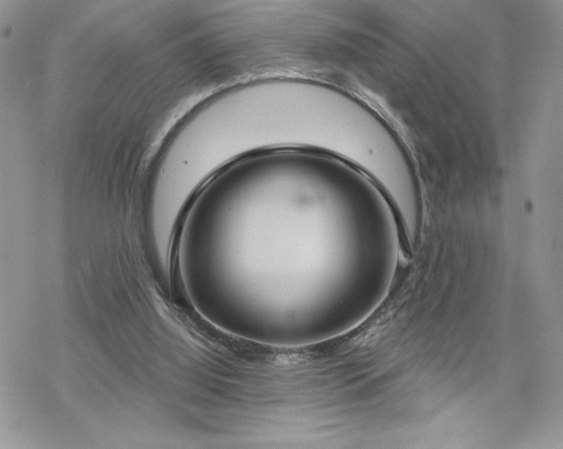 X0000070340060200606121151