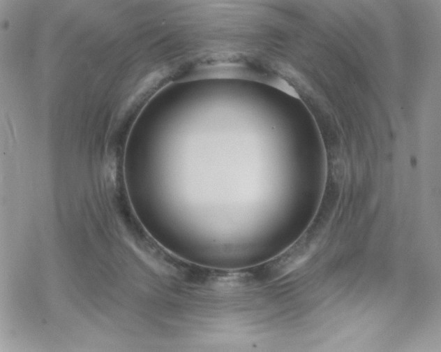 X0000070340072200606121151