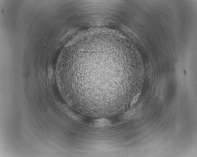 X0000070340087200606121151
