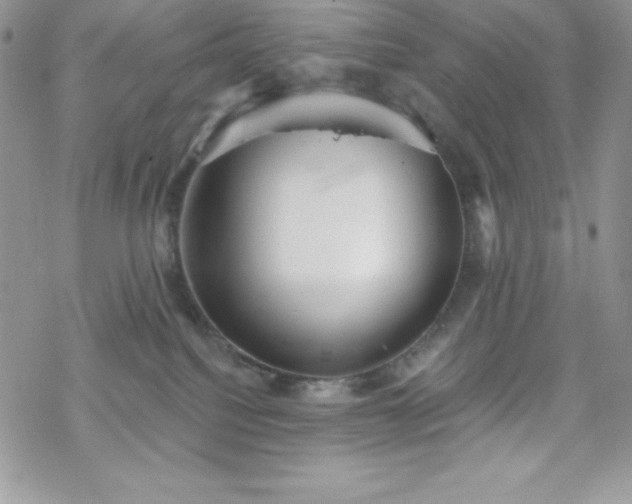 X0000070340088200606121151