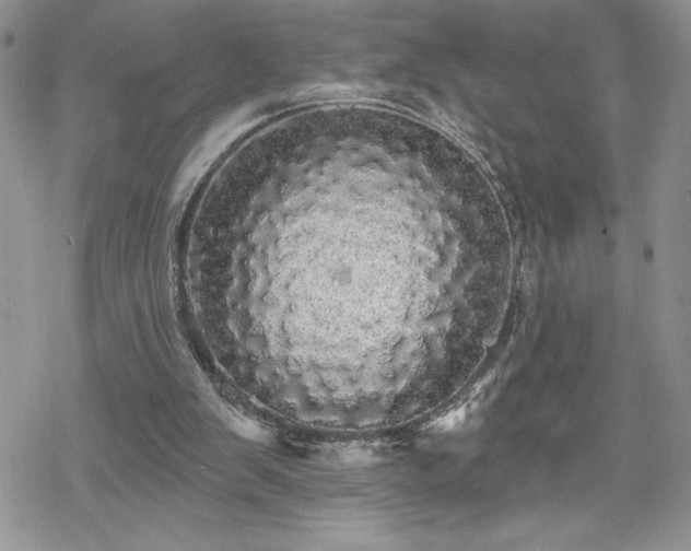 X0000070340103200606121151