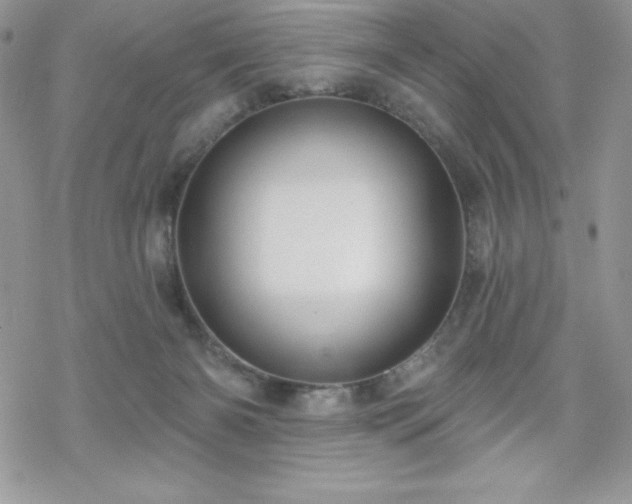 X0000070340126200606121150