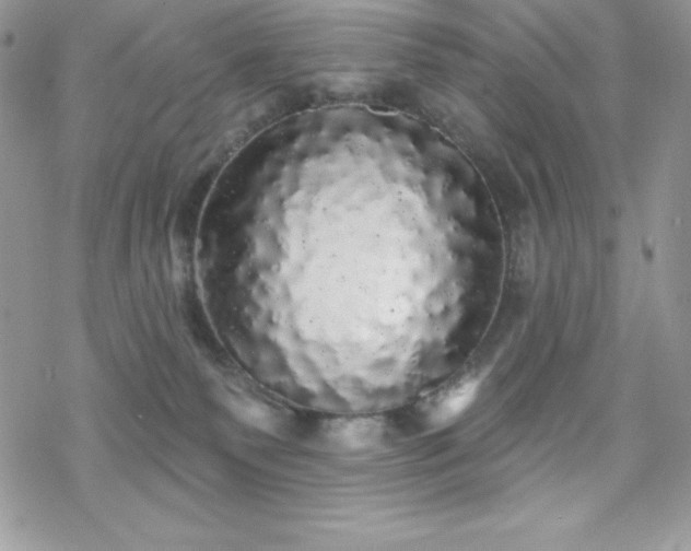 X0000070340135200606121150