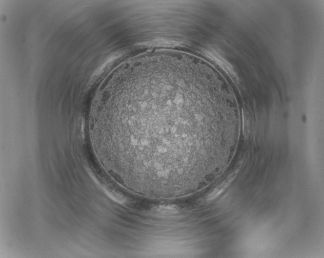 X0000070340157200606121149