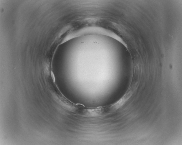 X0000070340188200606121150