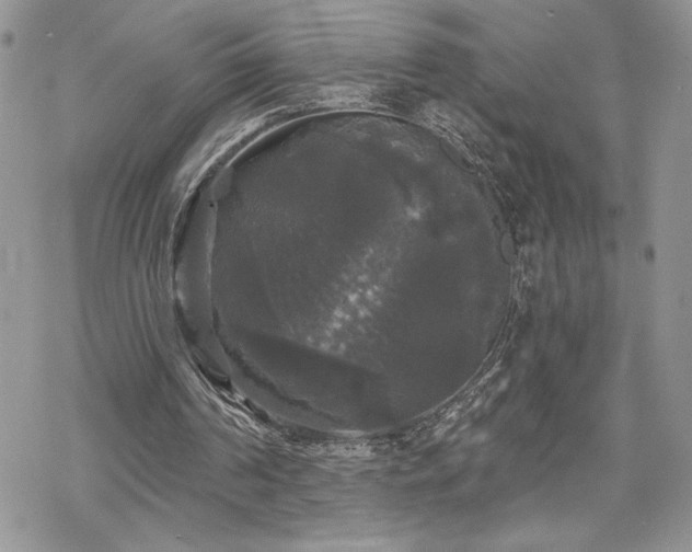 X0000070340194200606121149