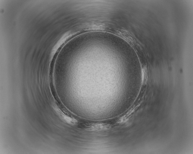 X0000070340195200606121149
