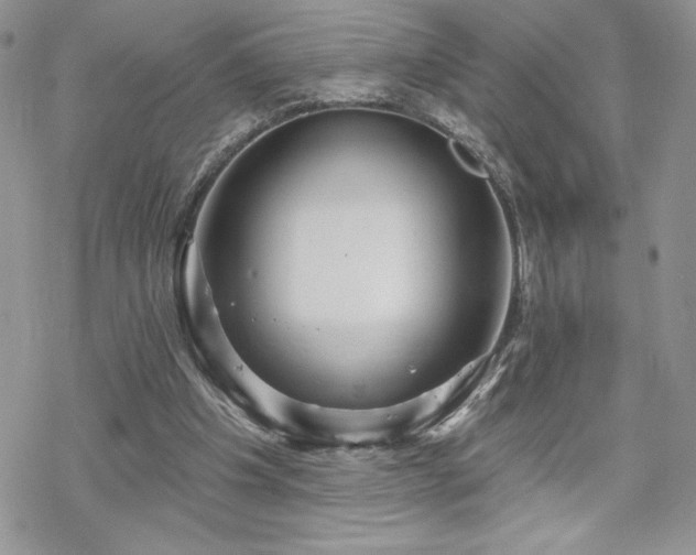 X0000070340201200606121149