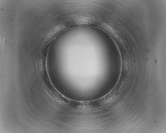X0000070340211200606121149