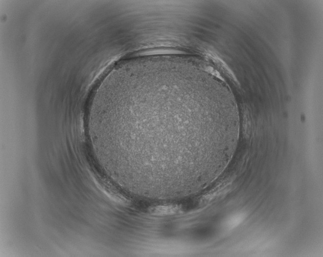 X0000070340251200606121148
