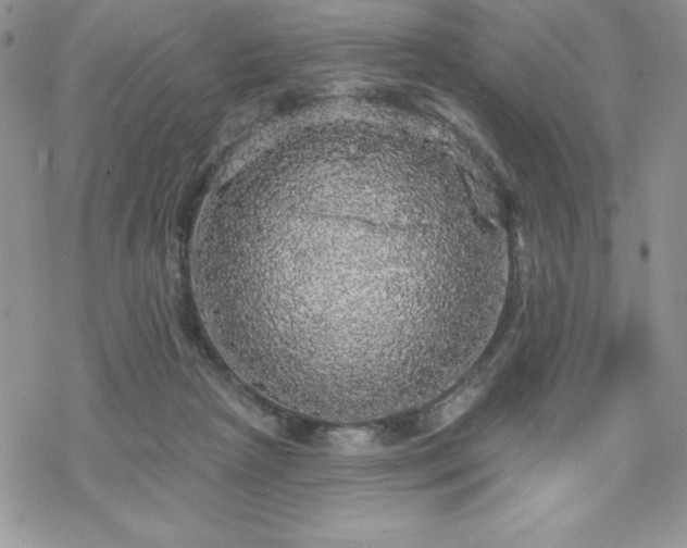 X0000070340265200606121148