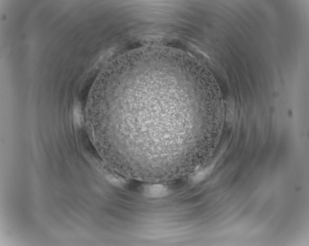 X0000070340287200606121148