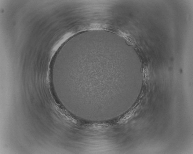 X0000070340292200606121148