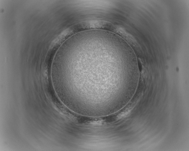 X0000070340306200606121147