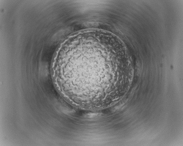 X0000070340323200606121147