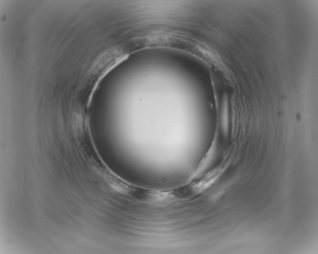 X0000070340333200606121147