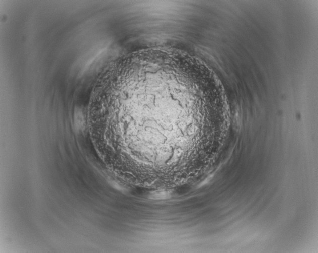 X0000070340335200606121147