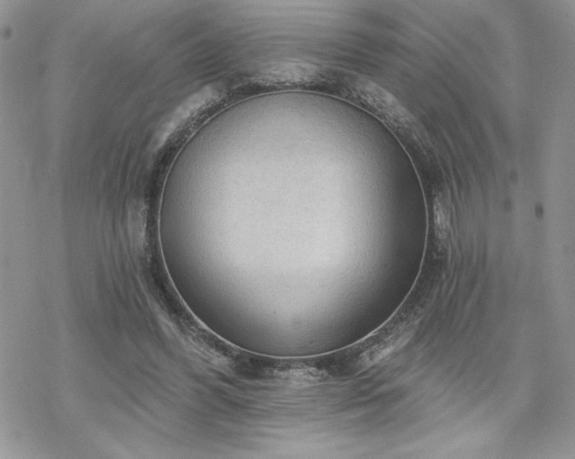 X0000070340396200606121146