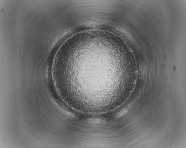 X0000070340404200606121146