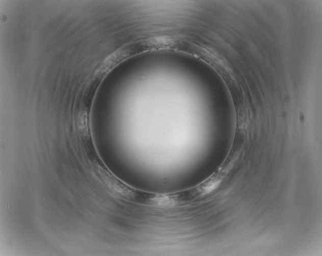 X0000070340425200606121145