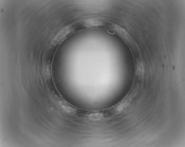 X0000070340426200606121145
