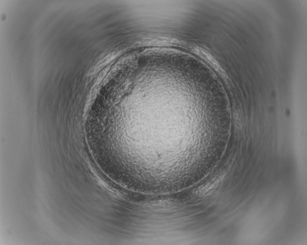 X0000070340433200606121145