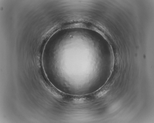 X0000070340450200606121145