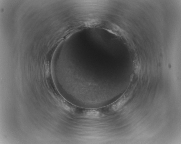 X0000070340471200606121145