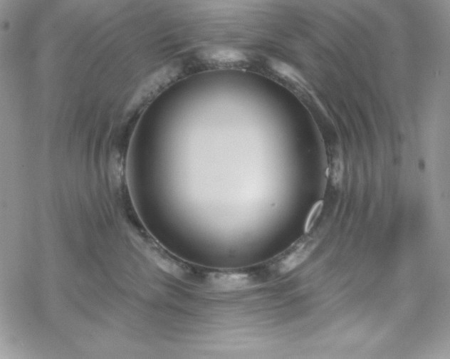 X0000070340476200606121145