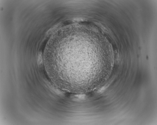 X0000070340478200606121145
