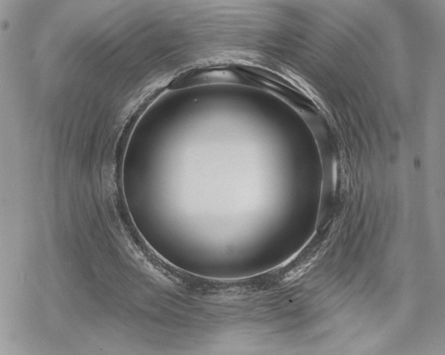 X0000070340485200606121144