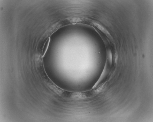 X0000070340521200606121144