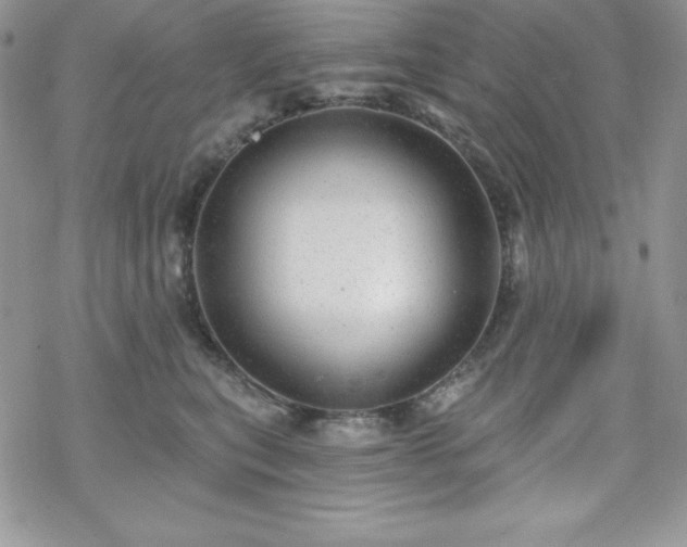 X0000070340567200606121143