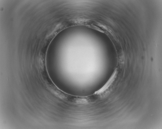 X0000070340572200606121144