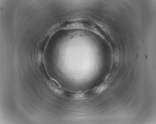 X0000070340574200606121144