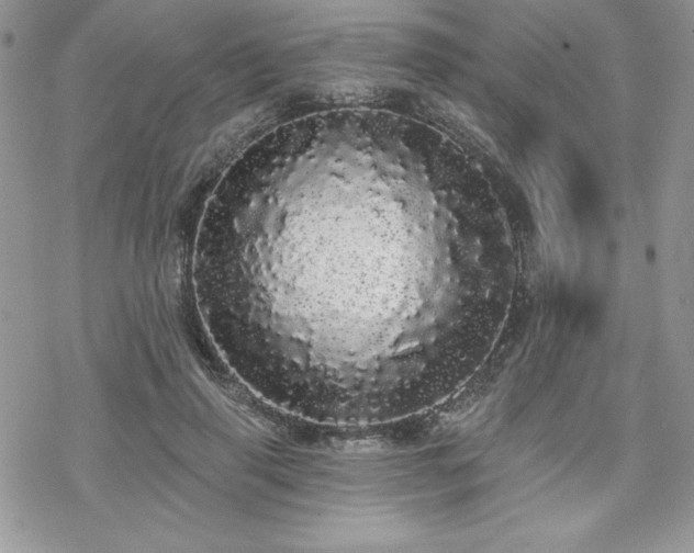 X0000070340645200606121142