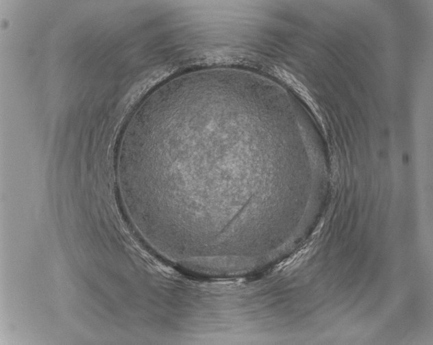 X0000070340673200606121141