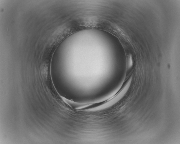 X0000070340697200606121141