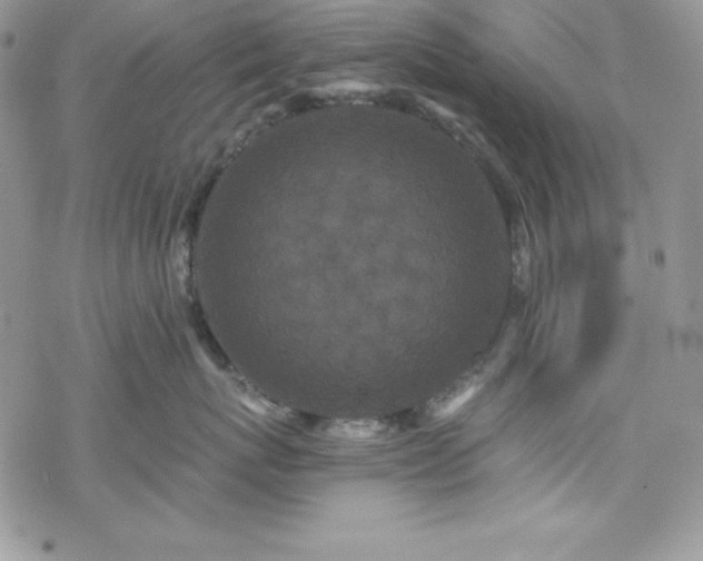 X0000070340767200606121140