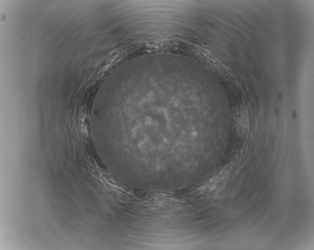 X0000070340770200606121140