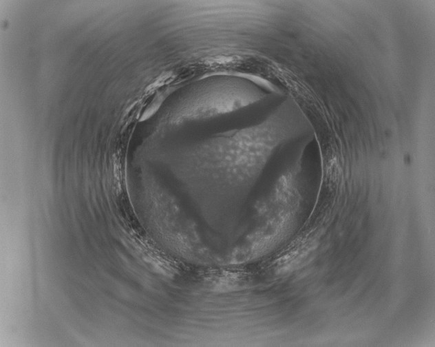 X0000070340772200606121140