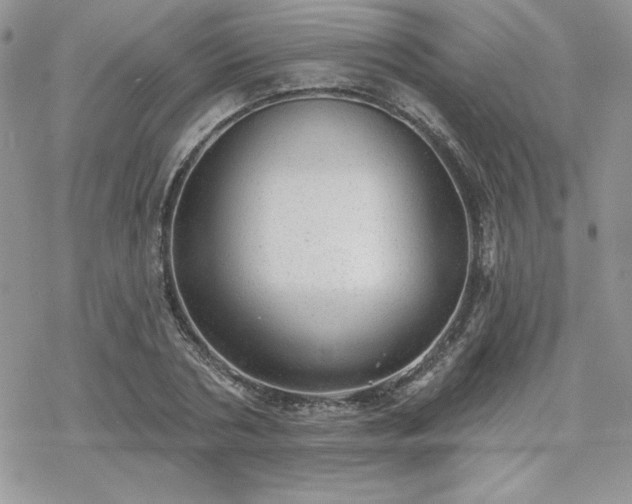 X0000070340786200606121139